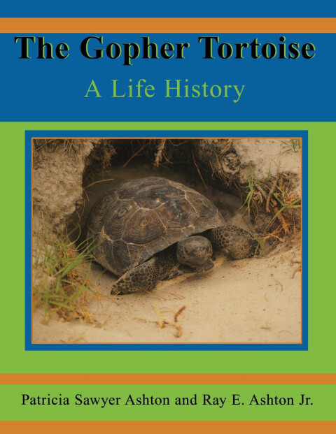 Cover image for book Gopher Tortoise