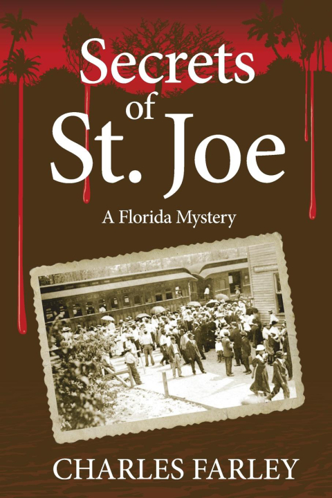 Cover image for book Secrets of St. Joe
