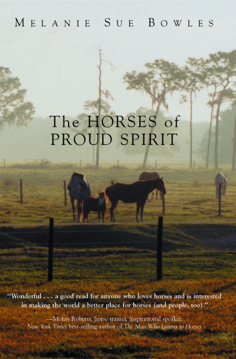 Cover image for book Horses of Proud Spirit