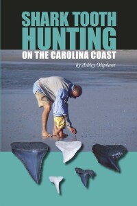 Imagen de portada: Shark Tooth Hunting on the Carolina Coast 9781561647286