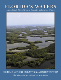 Cover image: Florida's Waters 9781561648689