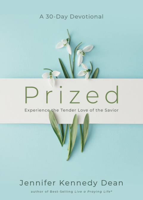 Cover image for book Prized