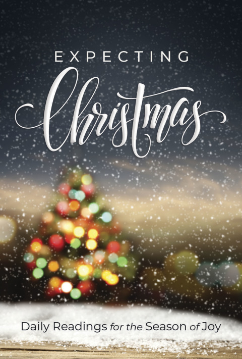 Cover image for book Expecting Christmas