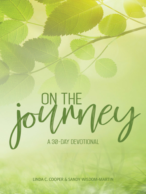 Cover image for book On the Journey