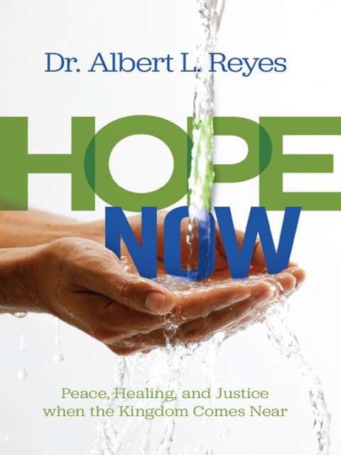 Cover image for book Hope Now
