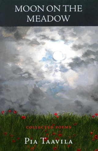 Moon on the Meadow
