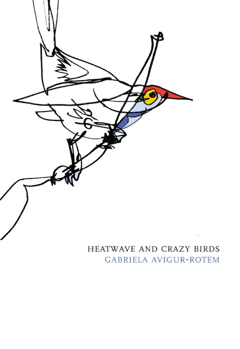 Cover image for book Heatwave and Crazy Birds