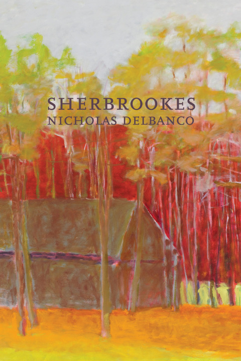 Cover image for book Sherbrookes