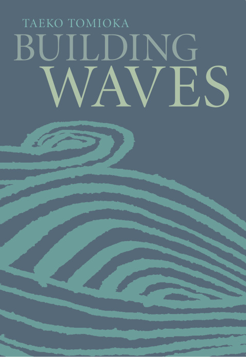 Cover image for book Building Waves