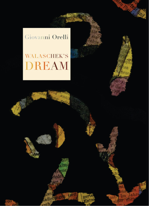Cover image for book Walaschek's Dream