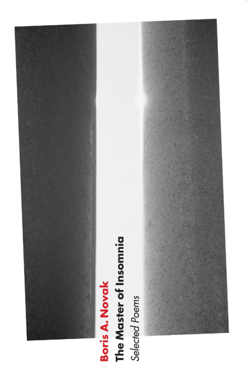 Cover image for book The Master of Insomnia