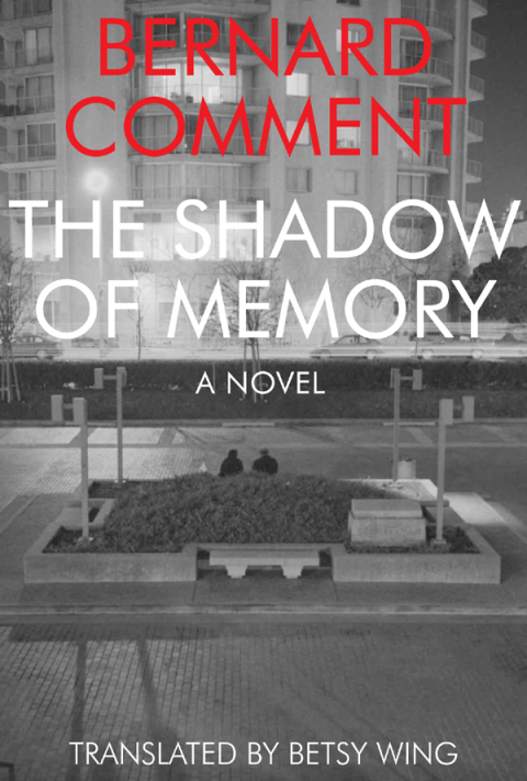 Cover image for book The Shadow of Memory
