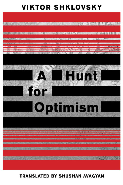 Cover image for book A Hunt for Optimism