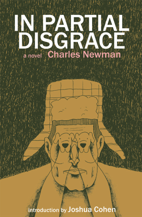 Cover image for book In Partial Disgrace