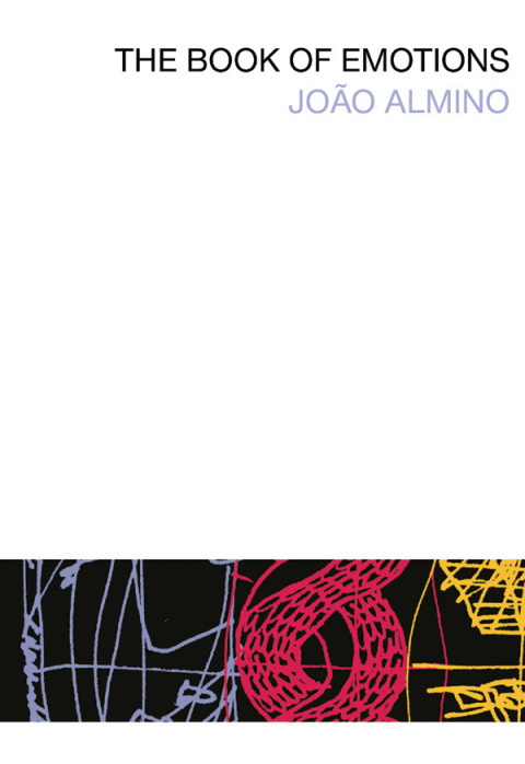 Cover image for book The Book of Emotions