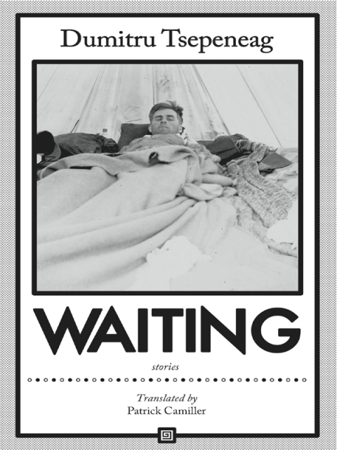 Cover image for book Waiting