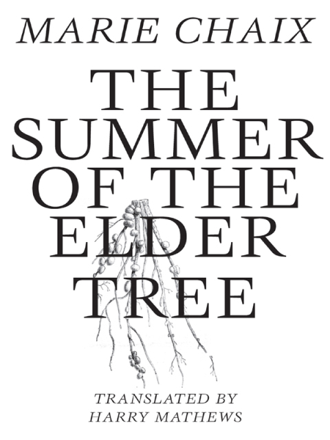 Cover image for book Summer of the Elder Tree