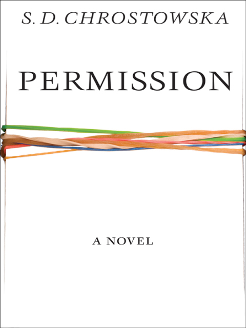 Cover image for book Permission