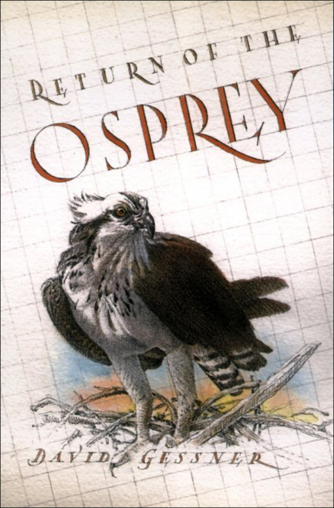 Cover image for book Return of the Osprey