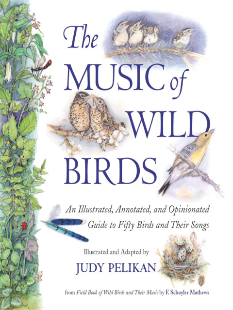 Cover image for book The Music of Wild Birds