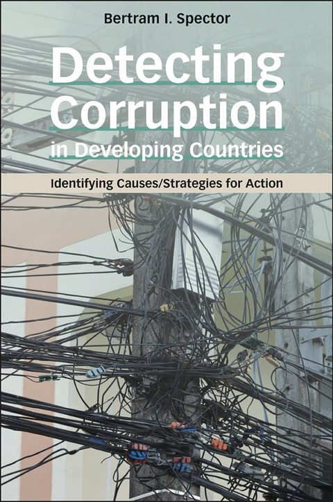 Cover image for book Detecting Corruption in Developing Countries: Identifying Causes/Strategies for Action