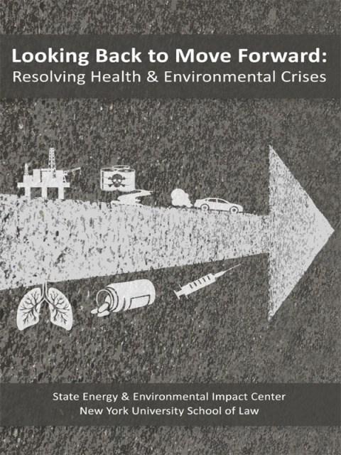 Cover image for book Macbeth's Looking Back to Move Forward: Resolving Health & Environmental Crises