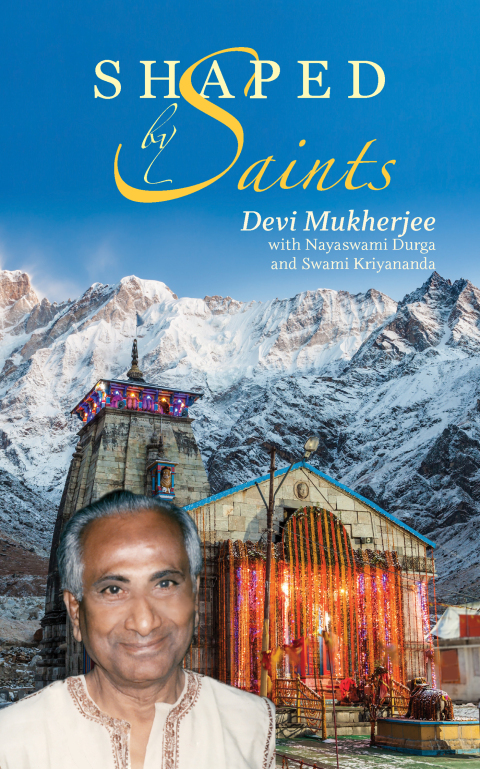 Cover image for book Shaped by Saints