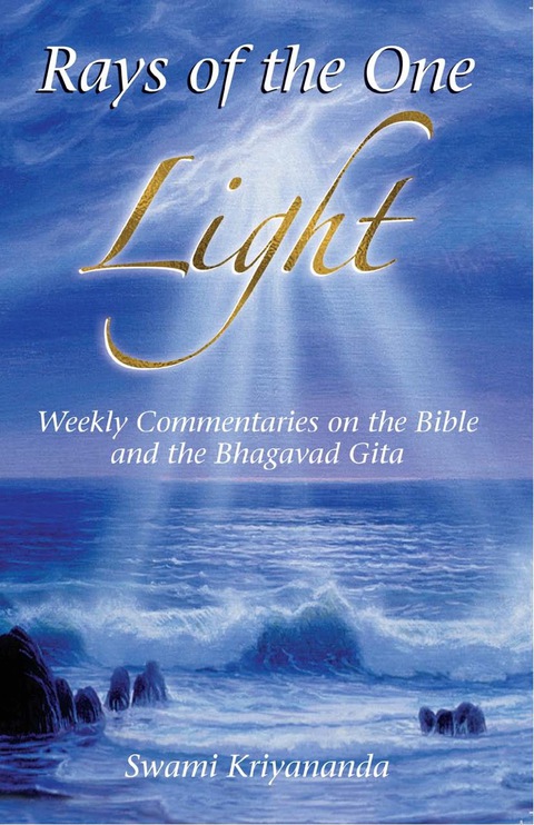 Cover image for book Rays of the One Light