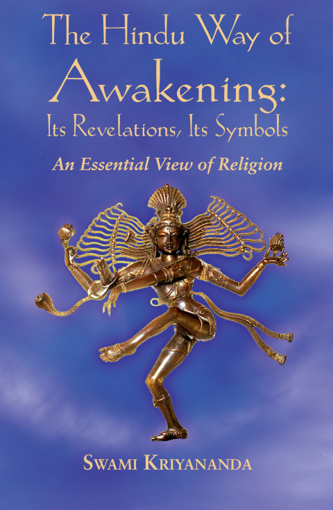 Cover image for book The Hindu Way of Awakening