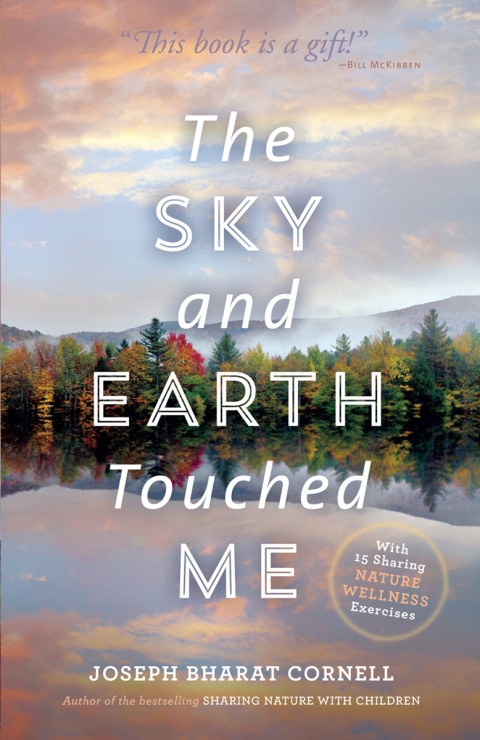 Cover image for book The Sky and Earth Touched Me