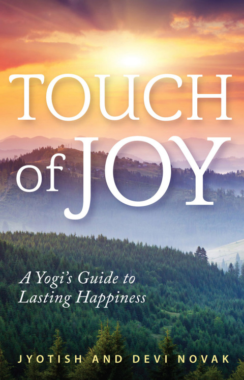Cover image for book Touch of Joy