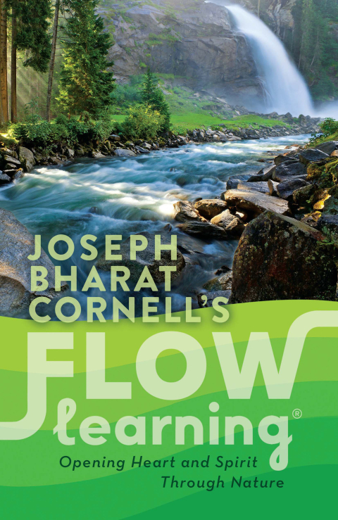 Cover image for book Flow Learning