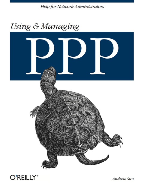 Cover image for book Using and Managing PPP