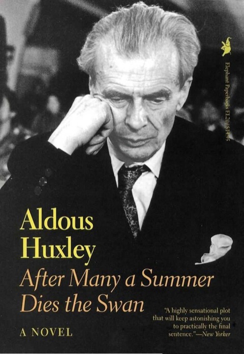 Cover image for book After Many a Summer Dies the Swan