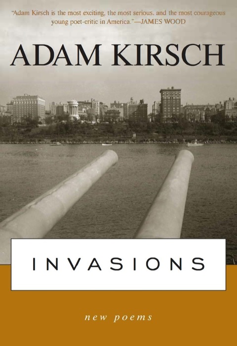 Cover image for book Invasions
