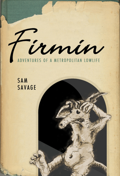 Cover image for book Firmin