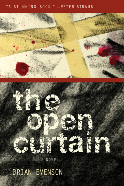Cover image for book The Open Curtain