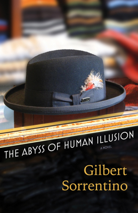 Cover image for book The Abyss of Human Illusion