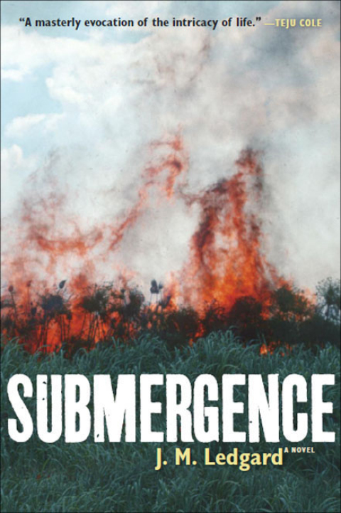 Cover image for book Submergence