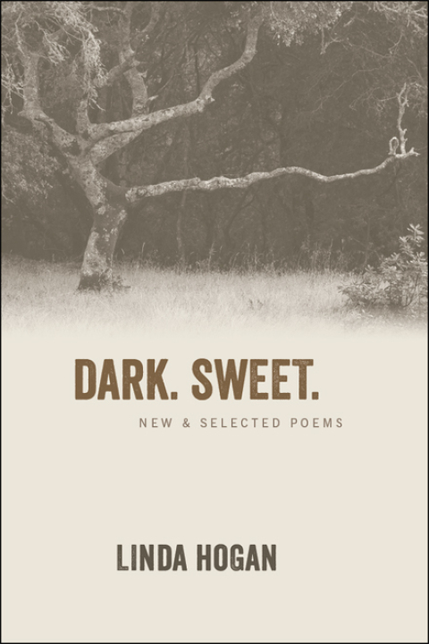 Cover image for book Dark. Sweet.
