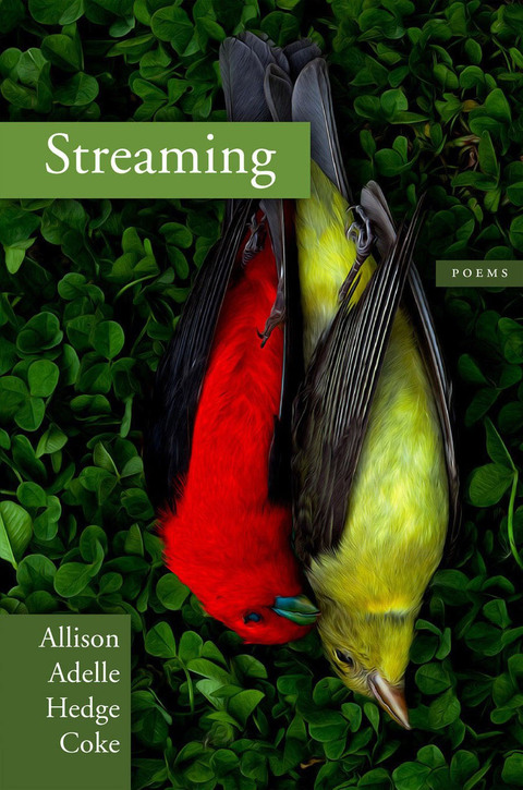 Cover image for book Streaming