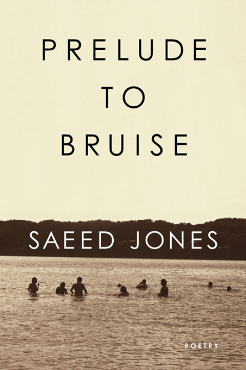 Cover image for book Prelude to Bruise