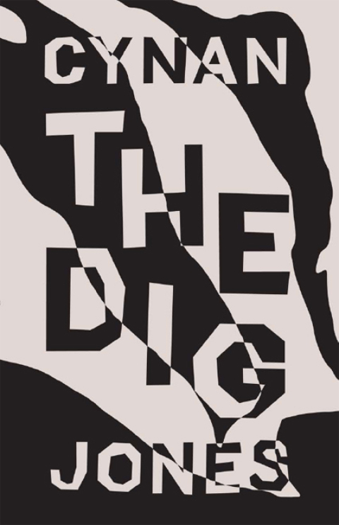Cover image for book The Dig
