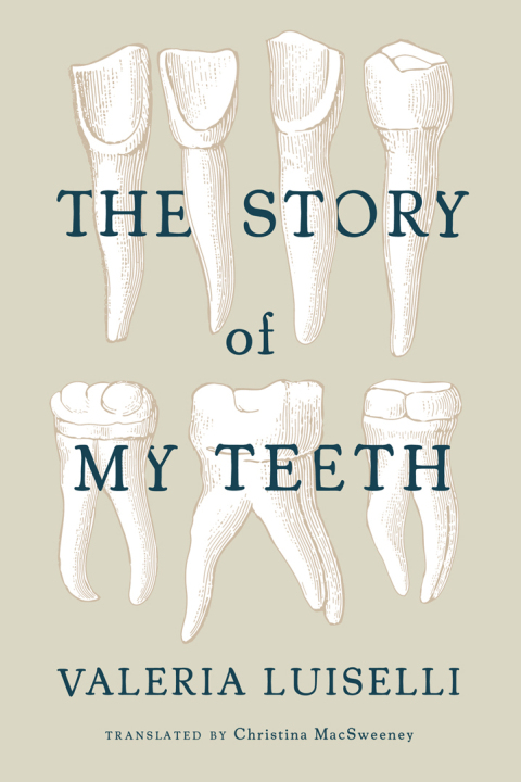 Cover image for book The Story of My Teeth