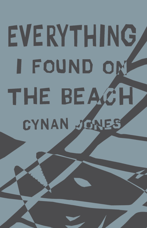 Cover image for book Everything I Found on the Beach