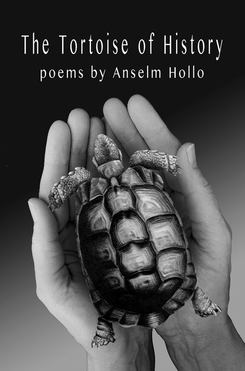 Cover image for book The Tortoise of History