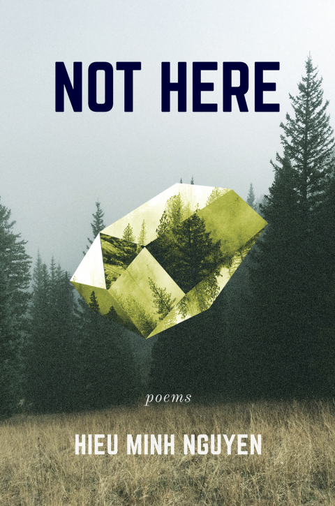 Cover image for book Not Here