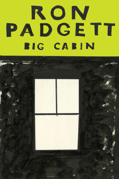 Cover image for book Big Cabin