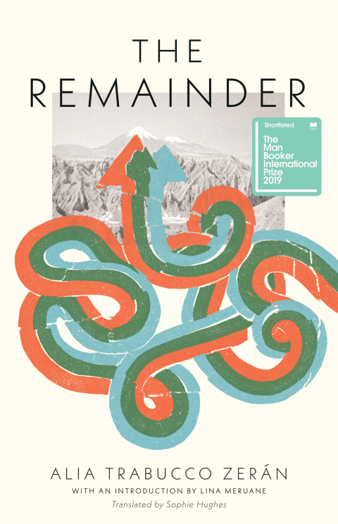 Cover image for book The Remainder