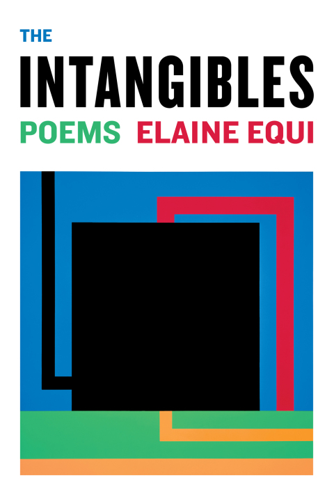 Cover image for book The Intangibles